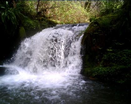 hodges cr upper falls 2 hodges cr upper falls 2